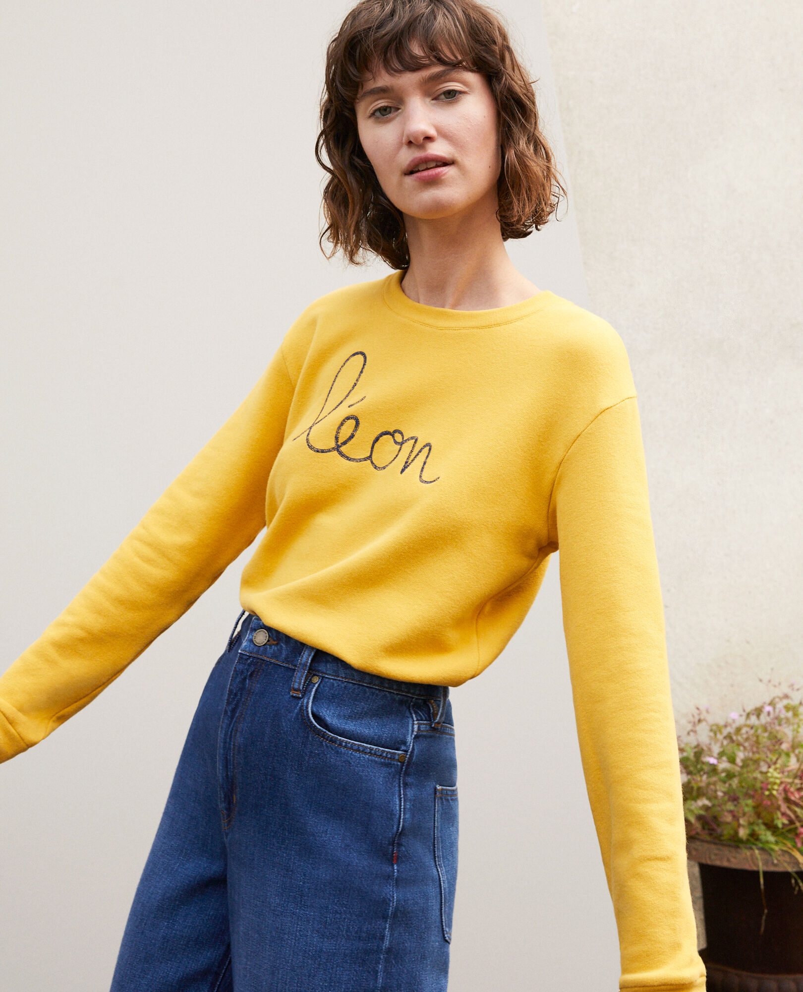 Sweat leon comptoir online des cotonniers