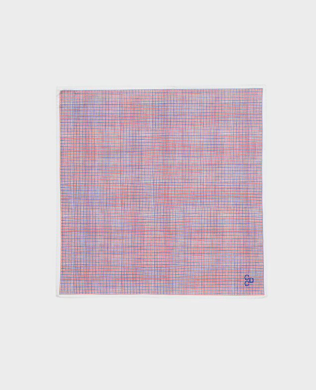Silk scarf Surf the web
