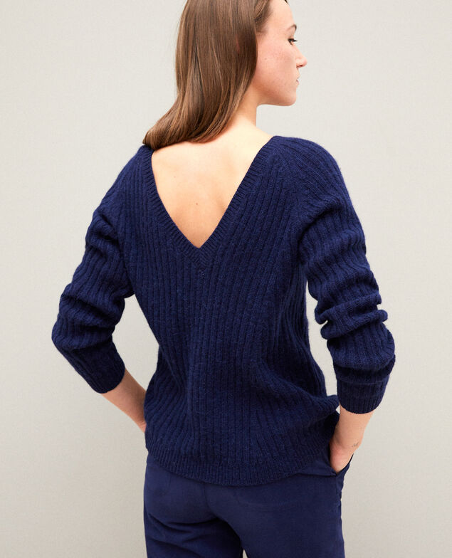 Reversible jumper Peacoat