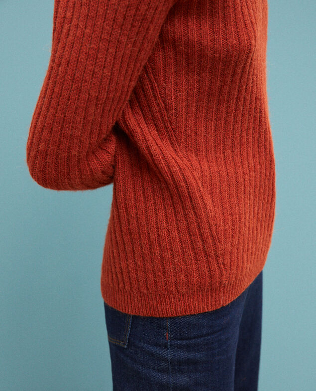 Reversible jumper Picante