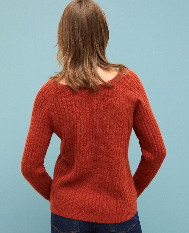 Reversible jumper Picante