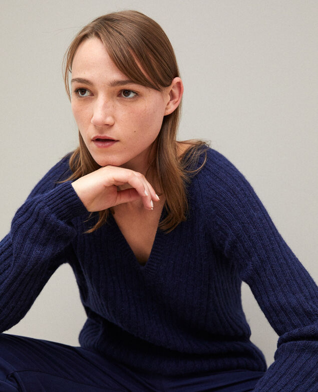 Reversible jumper Peacoat