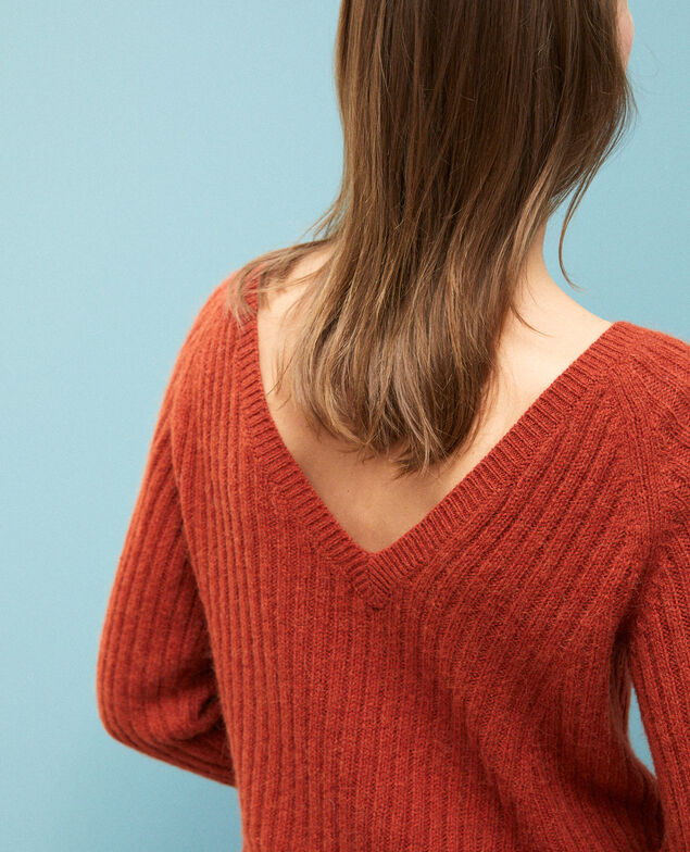 Reversible jumper Picante