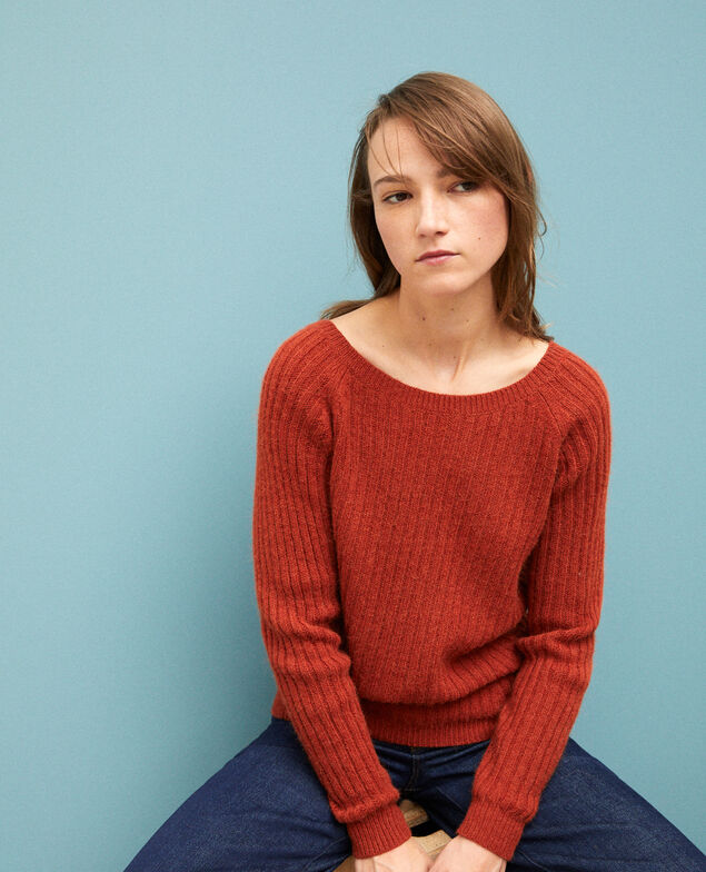 Reversible jumper Picante