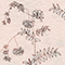 CORONILLE SEASHELL