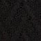 H091 BLACK BEAUTY