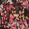 Short printed dress 7016c 09 black 2wdr292v03