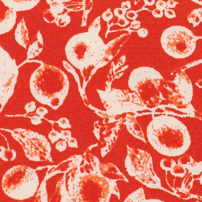 Short-sleeve top 101 print red 2sbl254v02