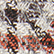 8883 02 LIGHTGRAY