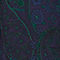 Silky printed blouse A684 paisley navy 3wbl066v02